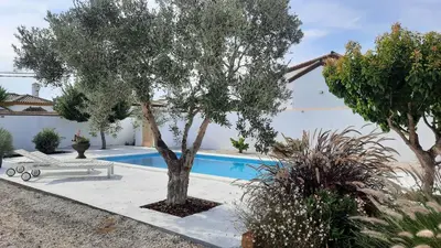 a villa with a pool and a tree in the yard at Villa Jaca azule in Chiclana de la Frontera