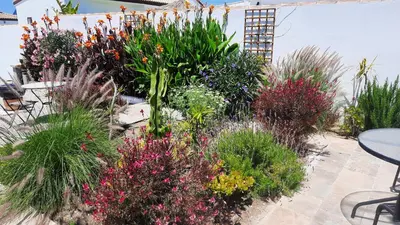 a garden with many different types of plants at Villa Jaca azule in Chiclana de la Frontera