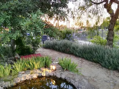 a garden with a pond and some plants at Vivienda Rural La choza in Jerez de la Frontera