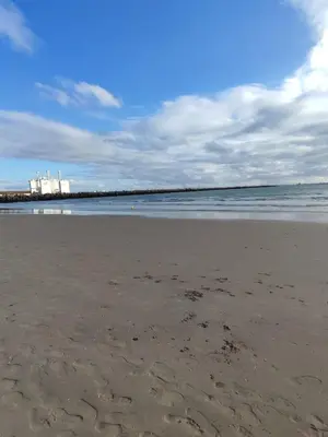 a beach with footprints in the sand and the ocean at Apartamento Bajamar in El Puerto de Santa María
