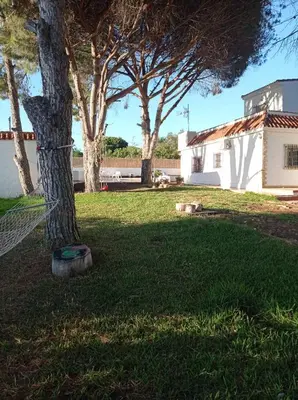 a tree with a net around it in a yard at La Estrella - piscina privada in Chiclana de la Frontera