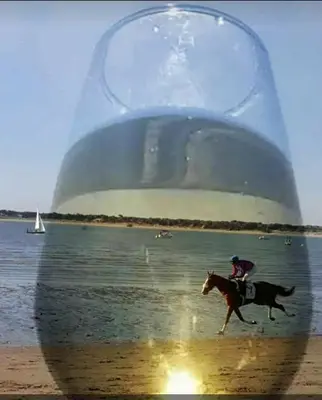 a person riding a horse in front of a large glass jar at Apartamento Cristina centro in Sanlúcar de Barrameda