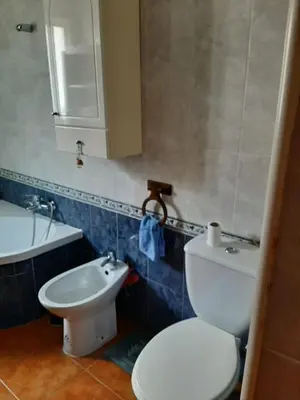 a bathroom with a white toilet and a sink at Casa El Veranito in Chiclana de la Frontera