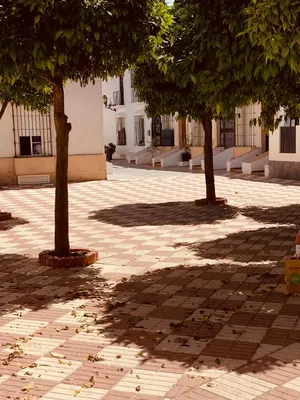 a group of trees in a courtyard with a building at Chipiona Acogedor LA in Chipiona