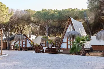 a group of tents with trees in the background at TAIGA Conil in Conil de la Frontera