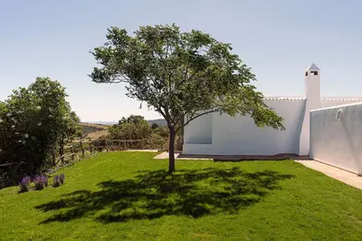 a tree in a yard next to a white building at Cortijo La Mina by LaJudería de Vejer - Luxury Villa in Conil de la Frontera