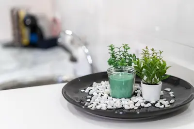 a black plate with plants and a green drink at Apartamento Cabildo Spa 2 in Sanlúcar de Barrameda