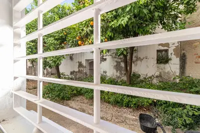 a white fence in front of an orange tree at La Casa de los Arcos - Casco Histórico - Parking opcional in Jerez de la Frontera