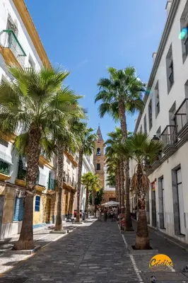 a cobblestone street with palm trees and a church at La Roca del Sur by Cadiz Time in Cádiz