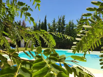 a view of a pool through the leaves of a tree at Chalet Brisas del Mar in Chiclana de la Frontera