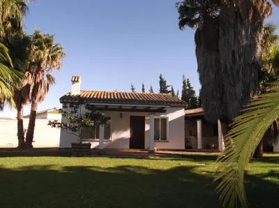a white house with palm trees in the yard at El Olivar de Roche Viejo in Conil de la Frontera