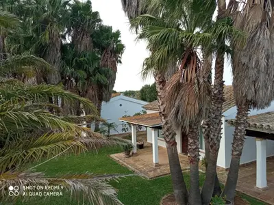 a view of the backyard of a house with palm trees at El Olivar de Roche Viejo in Conil de la Frontera
