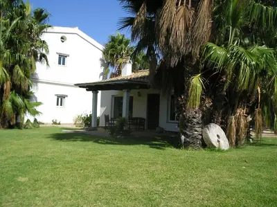 a white house with palm trees in the yard at El Olivar de Roche Viejo in Conil de la Frontera