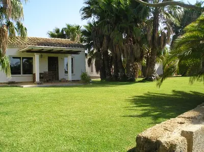 a white house with palm trees in a yard at El Olivar de Roche Viejo in Conil de la Frontera