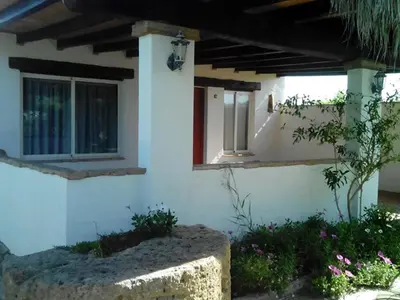 a white house with a window and some flowers at El Olivar de Roche Viejo in Conil de la Frontera