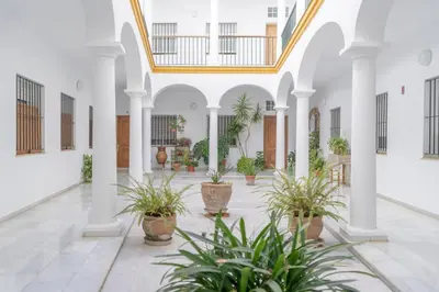 a courtyard with potted plants in a building at LOFT SÚPER LUMINOSO EN EL CENTRO DEL PUERTO DE SANTA MARÍA. in El Puerto de Santa María