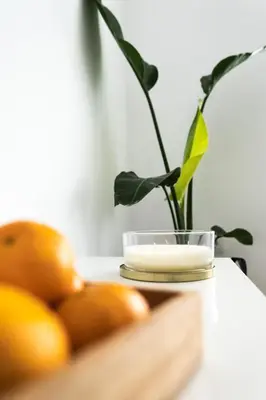 a plate with a candle and a plant on a table at Prim 14 by 7Escalones in Rota