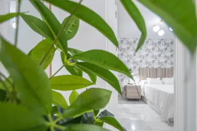 a bedroom with a bed and a large green plant at Apartamento La Magnolia de Cádiz in Cádiz