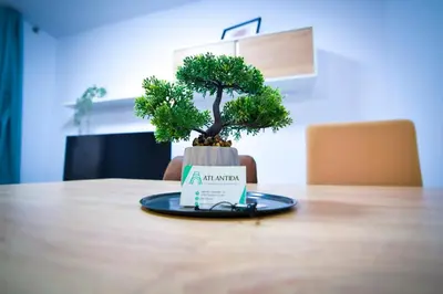 a small bonsai tree sitting on top of a table at Apartamentos Atlantida in Chipiona