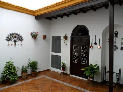 a room with a black door and potted plants at La Casa de Pepa in Jerez de la Frontera