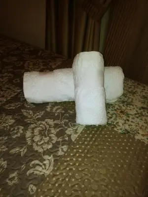 two rolls of toilet paper sitting on top of a bed at La Casa de Pepa in Jerez de la Frontera