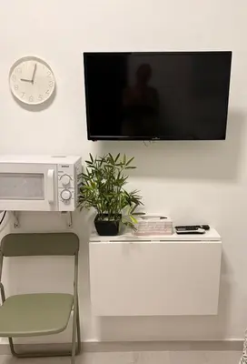 a flat screen tv hanging on a wall with a plant at Estudio Soniquete in Jerez de la Frontera