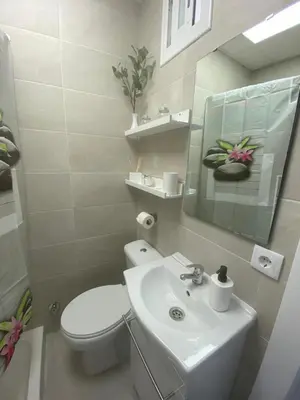 a bathroom with a white toilet and a sink at Estudio Soniquete in Jerez de la Frontera