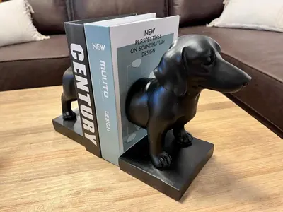 a dachshund statue sitting next to a box at GATU PREMIUM Villa La Pepa in Cádiz