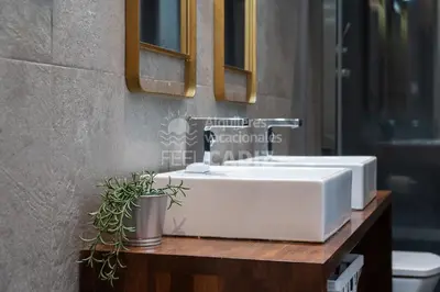 a bathroom sink with a potted plant on a wooden counter at Apartamento San Agustín Feel Cádiz in Cádiz