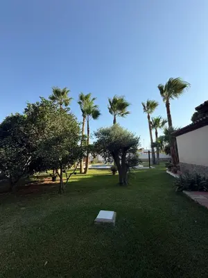a park with palm trees and a bench in the grass at Chalet en La Barrosa, Piscina+BBQ+Grifo de Cerveza in Chiclana de la Frontera