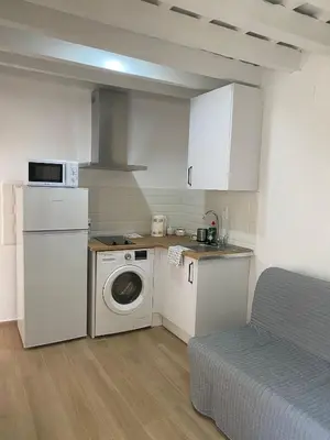 a kitchen with a washing machine and a washer at EL VENENCIADOR in Jerez de la Frontera