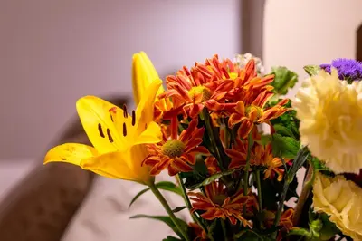 a bouquet of colorful flowers in a vase at LalaSuites SHARIS in Jerez de la Frontera