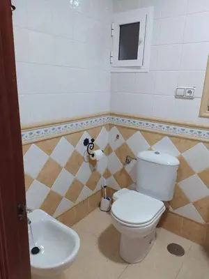 a bathroom with a white toilet and a sink at Apartamento grumete in El Puerto de Santa María