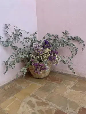 a potted plant sitting next to a wall at Patios del Agua in El Puerto de Santa María
