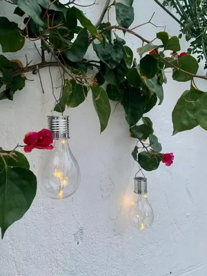 two glass bottles with lights on a wall with flowers at Patios del Agua in El Puerto de Santa María