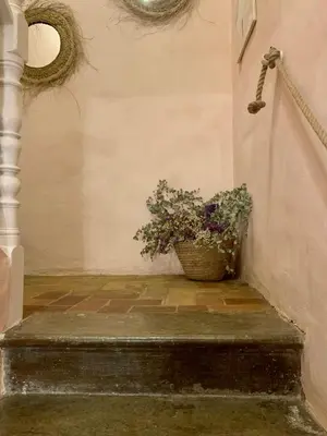 a potted plant sitting on the stairs of a building at Patios del Agua in El Puerto de Santa María