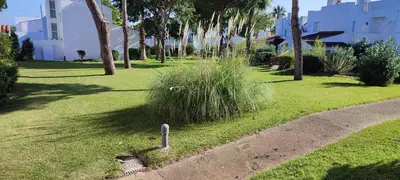 a patch of grass in a park with trees and bushes at Casa en Loma Sancti Petri a 900 m de la playa de La Barrosa in Chiclana de la Frontera