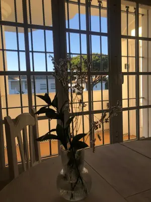 a vase with flowers sitting on a table in front of a window at Calma La Barrosa Apartamento in Chiclana de la Frontera