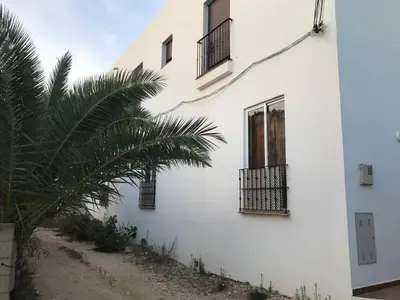 a white building with two windows and a palm tree at Conil Colorado 1 rústico y económico in Conil de la Frontera