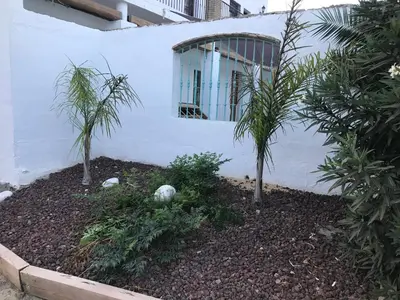 a garden with two palm trees in front of a building at Conil, Colorado 2 rustico y económico in Conil de la Frontera
