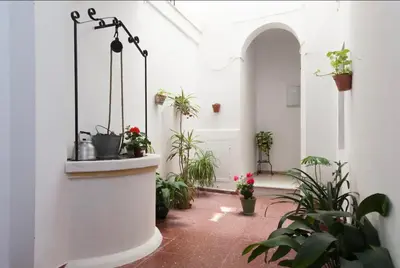 a corridor with potted plants in a building at Precioso y luminoso apartamento Calle Corredera. Casco Histórico in Arcos de la Frontera