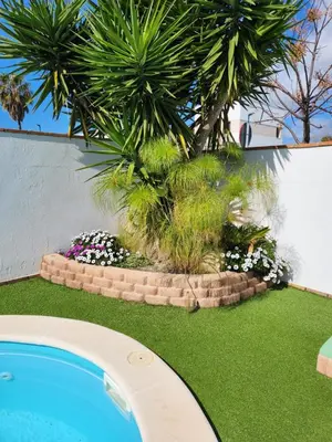 a palm tree and a swimming pool in a yard at Minichalet Jacaranda in Chiclana de la Frontera