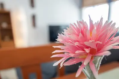 a pink flower in a vase on a table at Apartamento Tribalia Cadiz in Cádiz