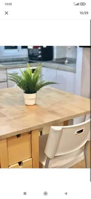 a potted plant sitting on top of a wooden table at Valdelagrana vista al mar Puerto de Santa María in El Puerto de Santa María