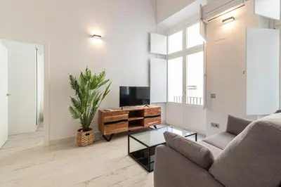 a living room with a couch and a tv at Allo Apartments San Roque 2ºA in Cádiz