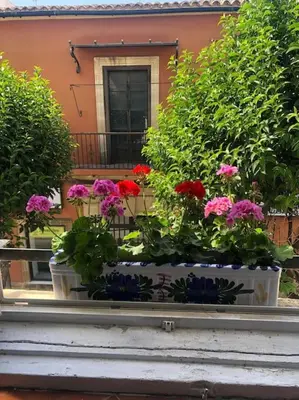 two pots of flowers sitting on a window sill at Gran casa con balcón para grupos en centro histórico in El Puerto de Santa María