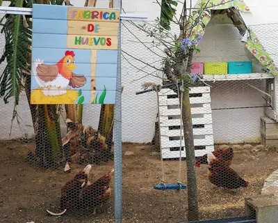 a group of chickens standing around a chicken coop at Chiclana El Principito in Chiclana de la Frontera