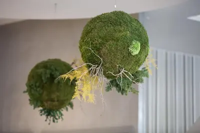 two green vegetables are hanging on a wall at Hotel Monte Puertatierra in Cádiz