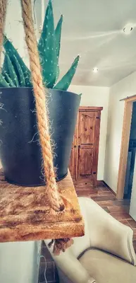 a potted plant sitting on top of a wooden table at casa de vicky in El Puerto de Santa María