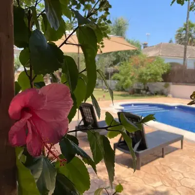 casa de vicky